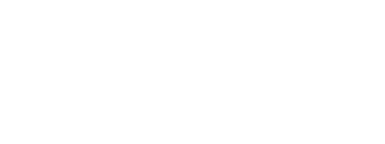 Pashmin Fine Art Logo